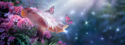 Fotobehang magische sprookjes paddenstoel en vlinders_472979766_DS